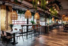 an empty restaurant with wooden tables and chairs, plants hanging from the ceiling above them