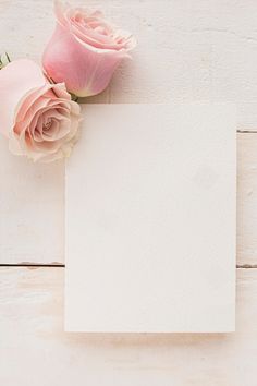 two pink roses are sitting on top of a piece of paper next to an empty card