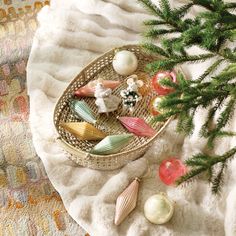 a basket filled with seashells and ornaments next to a pine tree on a blanket