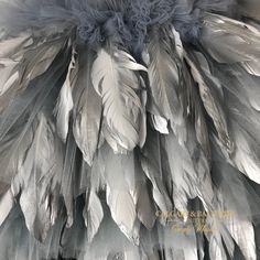 an image of feathers on display in a store