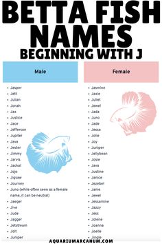 a poster with the names of different types of beta fish and their names in english