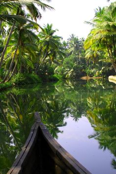 a boat traveling down a river surrounded by lush green trees and palm trees on both sides