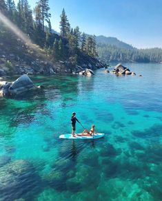 two people on surfboards paddling in clear blue water next to rocky shoreline and trees