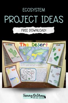 Image of a triboard display showing the dessert ecosystem and incorporating flipbooks. Polar Ecosystem Project, Ecosystem Art Project, Grade 4 Habitats And Communities Science, Ecosystem Projects For Kids, Desert Ecosystem Project, Teaching Ecosystems