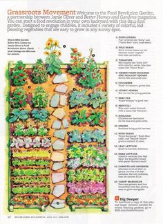 a garden plan with various plants and flowers in the center, along with instructions on how to