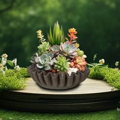 a potted plant with succulents and other plants in it on a table