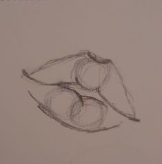 a pencil drawing of two apples sitting on top of each other