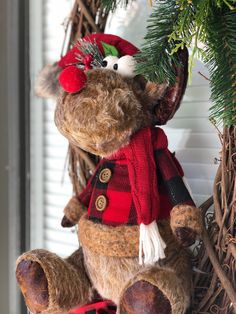 a brown teddy bear wearing a red and black jacket sitting next to a christmas tree