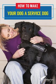 a woman in a wheel chair hugging her dog with the caption how to make your dog a service dog