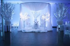 a white dog sitting on top of a bed covered in fur