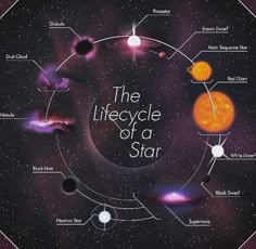 the lifecycle of a star