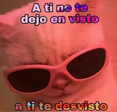 a cat wearing pink sunglasses with the caption atti no te dejo en vista