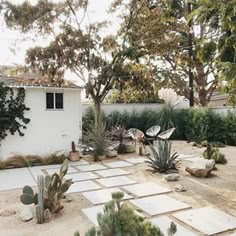 an outdoor patio with cactus and succulents on the ground in front of a house