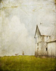 an old photo of a farm house and two cows in the field near it, with a grungy background