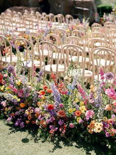 rows of chairs lined up with flowers in them