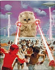 a cat sitting on top of a beach surrounded by people