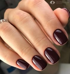 Vamp is a dark burgundy red. Award Winning Gel Polish! This incredible 100% pure colored gel is created by Akzentz amazing team of chemists to be completely solvent free, long lasting and easily applied! This unique formula provides numerous benefits: Easy Application - The product is not runny so it stays where you apply it. Odor Free - Absolutely NO smell. Does not smell like nail polish, since it is polish free. Flexibility and Strength - Typical gel polish made with polish in it will chip th Toe Nail Color, Burgundy Nails, Dark Burgundy, Dream Nails, Classy Nails, Chic Nails, Trendy Nails, Burgundy Red, Winter Nails