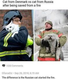 a fireman holding a dog and cat in front of a poster that says, cats saved from a fire in russia