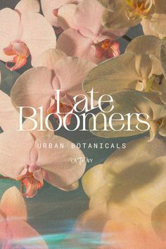 Late Bloomers Urban Botanicals logo and identity with innovative typography by Lara Scarr Design Elegant Graphic Design Poster, April Mood Board Aesthetic, Flower Shop Graphic Design, Flower Branding Design, Flower Shop Design Logo, Brand Ideas Design, Aesthetic Brand Logo, Flower Shop Poster, Logo Flower Design