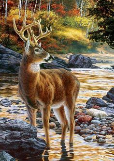 a painting of a deer standing in the middle of a river with rocks and trees around it