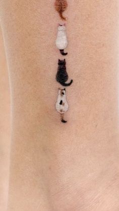 a woman's lower leg with three cats on it