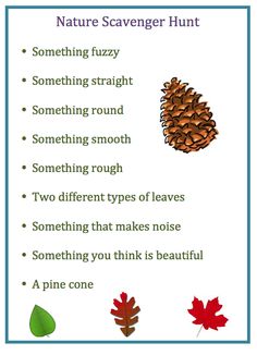 the nature scavenger hunt for kids includes pine cones, leaves and acorns