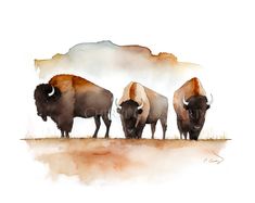 three bison are standing in the grass with watercolor paint on it's face