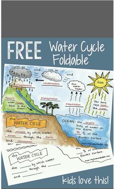 a water cycle poster with the words, free water cycle foldable kids love this