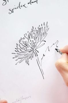 someone is drawing a dandelion flower on a piece of paper with a marker