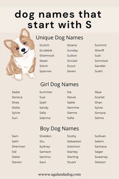 the dog names that start with s are shown in this graphic above it's description