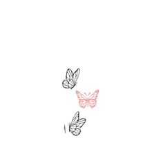 three butterflies flying in the air on a white background with pink and black outlines