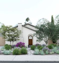 this is an artist's rendering of a house in the desert with plants and shrubs