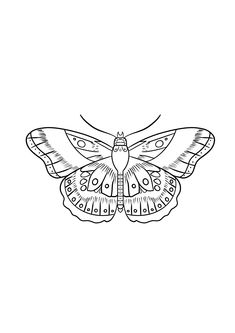 a black and white drawing of a butterfly