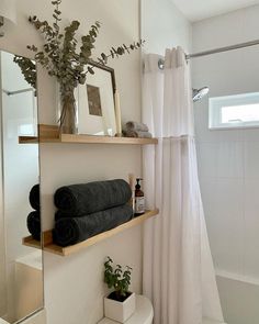 a bathroom with towels and plants on the shelves