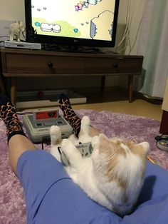 a cat laying on someone's lap playing video games