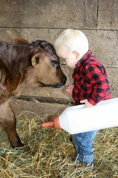 a baby boy is standing next to a cow and milking it with a bottle