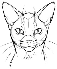 a drawing of a cat's face