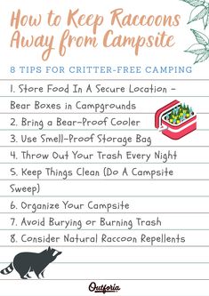 Camping is awesome, however, having raccoons and other woodland critters scurrying around your campsite at night is not. To help you out, we’ve put together this list of 8 awesome tips for keeping raccoons away from your camping area. Click on the link to see how you can spend more time enjoying the great outdoors and less time worrying about wild animals eating your snacks. Raccoon Repellent, Camping Plates, Yeti Tundra, Tent Site, Woodland Critters, Bear Spray, Camping Area, Human Food, Free Camping