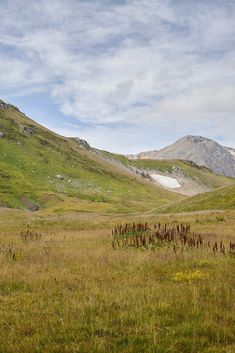 Landscape Scenery of Grass Field Across the Mountains Grassy Plains, Mountain Field, Render Background, Mountains Aesthetic, Lost Lands, Space Ranger, Fall Art Projects, Apocalypse Art, Grasses Landscaping