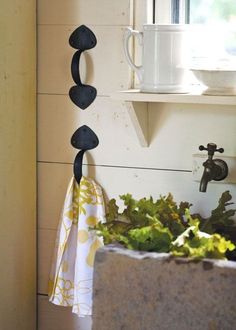 there is a potted plant next to a window sill with rocks on it