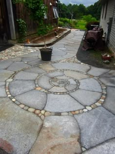 a stone walkway with a potted plant in the center and an old house in the background