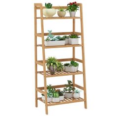 a wooden shelf filled with potted plants