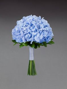 a bouquet of blue hydrangeas on a gray background