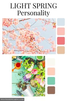 light spring color palette Image Consulting, Spring Light