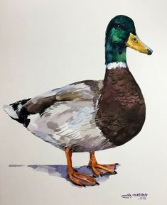 a watercolor painting of a duck standing on the ground