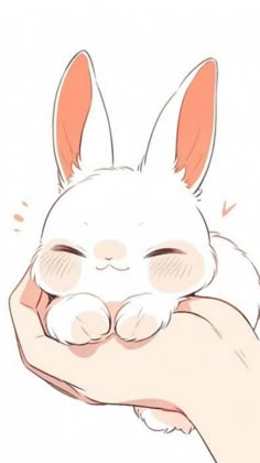 a hand holding a white rabbit with its eyes closed