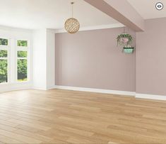 an empty room with pink walls and wood flooring in the center is a potted plant