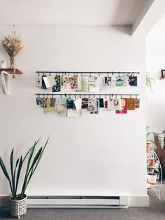 there are many pictures hanging on the wall next to a potted plant in front of it