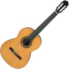 an acoustic guitar is shown against a white background