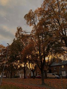 the sun is setting behind some trees with leaves all over them and cars parked on the street